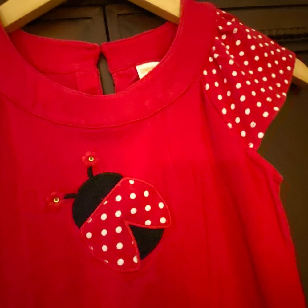 Gymboree Red Dress with Ladybug Design - Size 9 - Picture 4 of 6